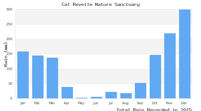 graph of monthly rain